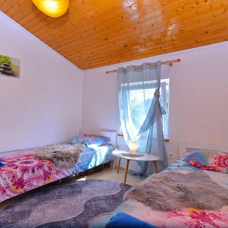 Apartment Sasa 1113